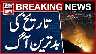 Hollywood Hills Fire | Los Angeles Fire Kills At Least 10 | California Wildfire