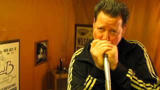 Video thumbnail for ElectroVoice 660 Dual Impedance Super Cardioid Dynamic Mic by GoldenBug