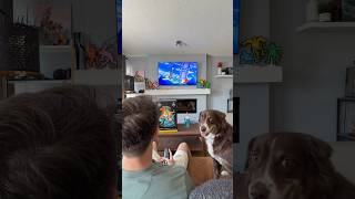 Weekend vibes, Pokemon, Lego and Dogs!