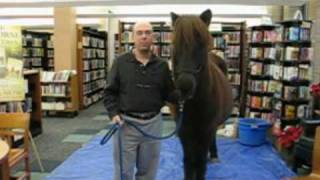 preview picture of video 'Ariel's Journey Icelandic Horse Adventure Book'