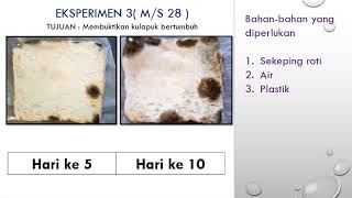 Download lagu PROSES HIDUP MIKROORGANISMA AKTIVITI 3 mp3