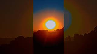 Comprimento de cavalo no por do sol #cavalo #domacavalo #pordosol #equino