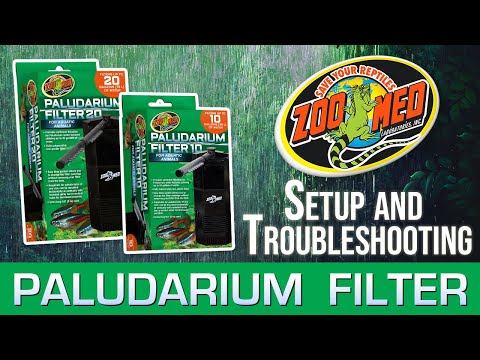 Paludarium Submersible Filter - Setup and Troubleshooting