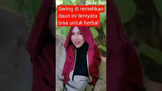 Download lagu herbal asam lambung #herbal #obatherbal #budesum mp3