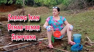 Download lagu Muantuuuul.... Ikan nya beda banget, mancing mania mp3 Download lagu Muantuuuul.... Ikan nya beda banget, mancing mania mp3