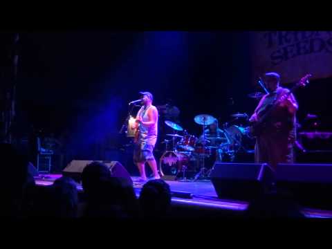 Josh Heinrichs -  Crucial