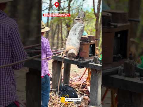 Belleza, GRACIAS FAMILIA MEJIA POR LA INVITACIÓN 🇭🇳👏🏻📍📸erandique lempira honduras 🇭🇳