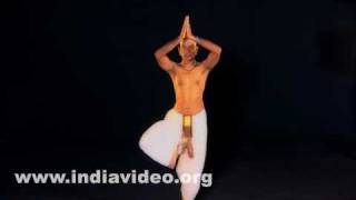 Vrikshasana (The tree pose) - Male 