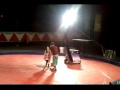 Circus Gatti MPG