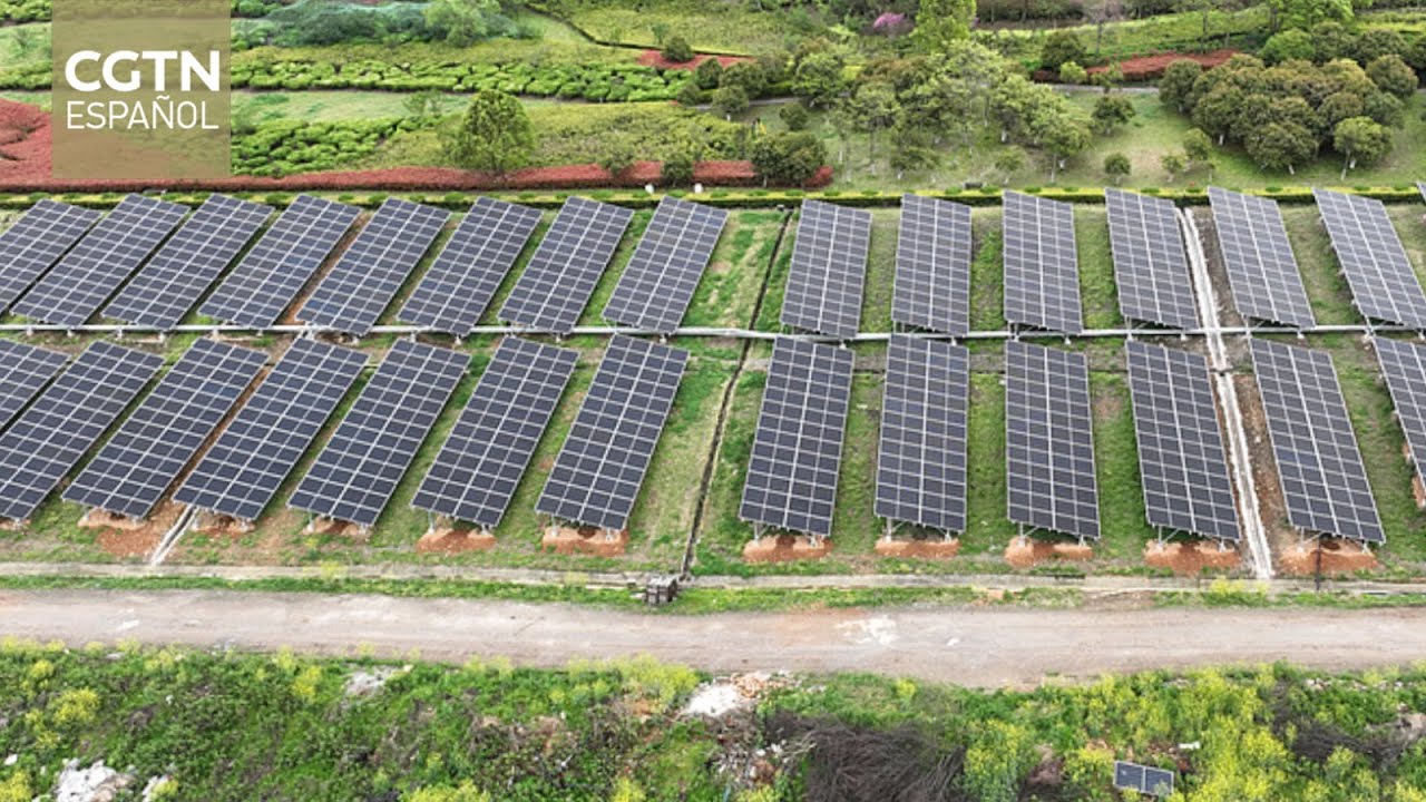 Académico mexicano insta a seguir el ejemplo de China en su lucha contra el cambio climático