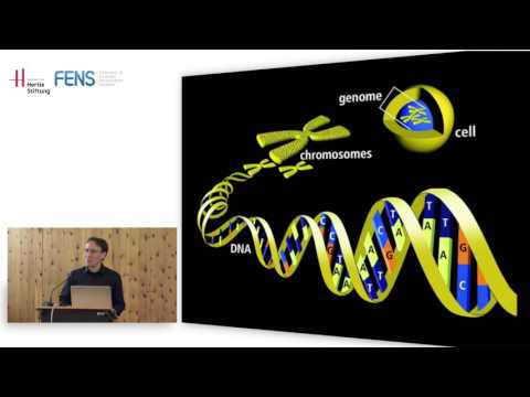 FENS Hertie Winter School 2015:  Simon Fisher on genetic perspective on language PART 1