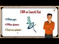 8. Sınıf  Fen ve Teknoloji Dersi  DNA ve Genetik Kod 8. sınıf DNA ve Genetik Kod konu anlatımı ve örnek soru çözümleri içerek LGS hazırlık açısından harika bir video. 2018-2019 ... konu anlatım videosunu izle