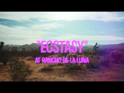 AVALANCHE PARTY - ECSTASY
