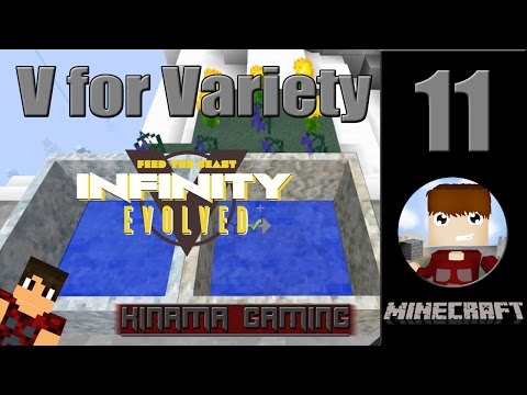 V4Variety FTB Infinity Evolved Expert Mode 11 - Botania