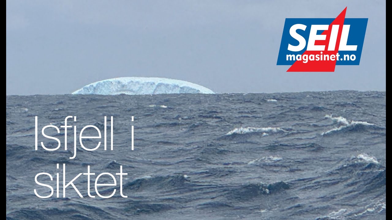 Report #9: Icebergs in sight