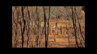 Ao Redor - Especial Serra da Capivara