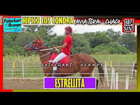 ESTRELLITA  Avia Terai CH  12 04 2026
