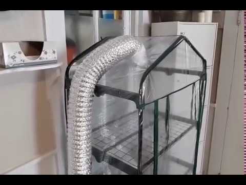 Martha mushroom fruiting chamber