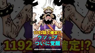 【ワンピース】1192話で確定した“ウソップの覚醒”がやばい #ワンピース #onepiece #考察