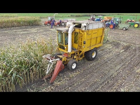 Hesston Field Queen - Classic harvesting