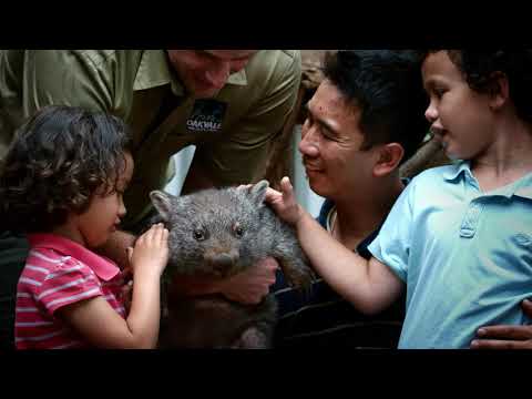 Oakvale Wildlife Park