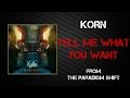 Korn - Tell Me What You Want [Lyrics Video]