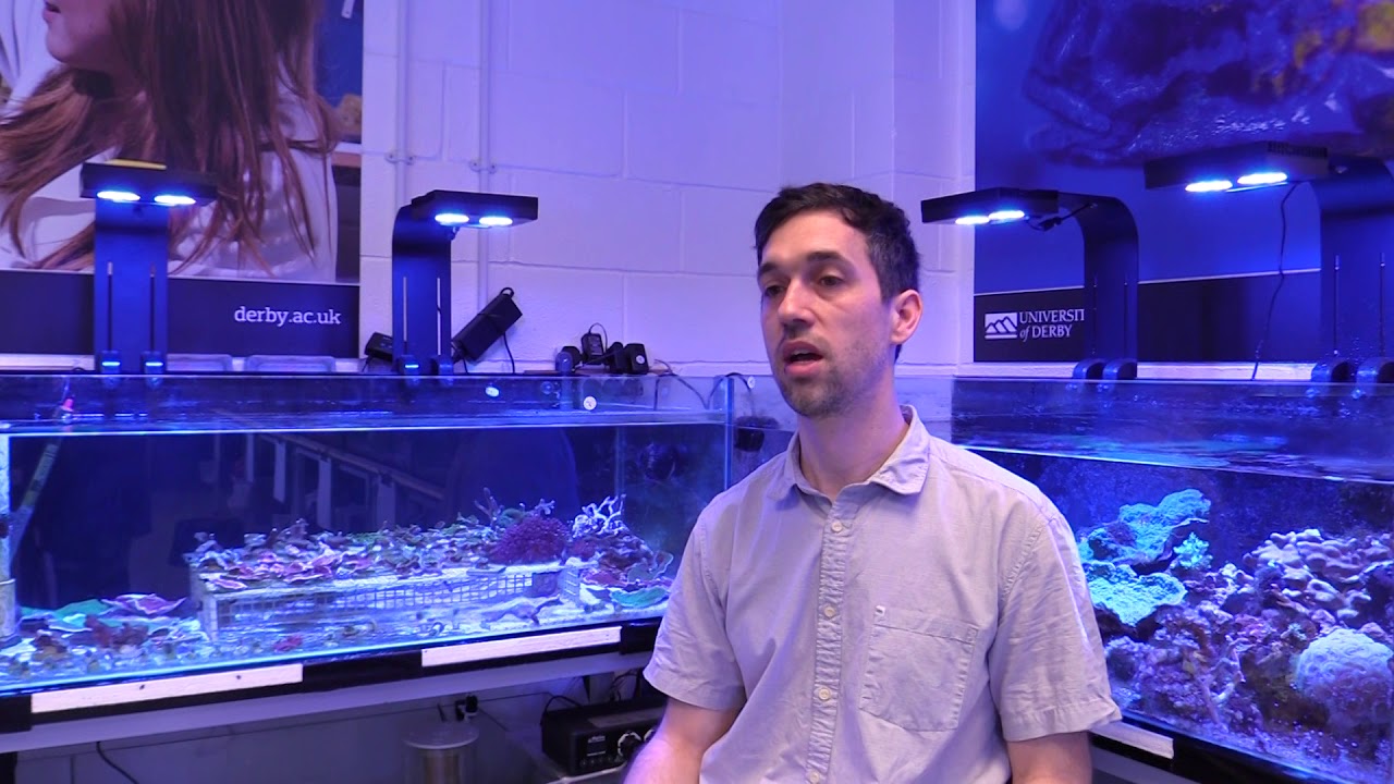 Saving our coral reefs