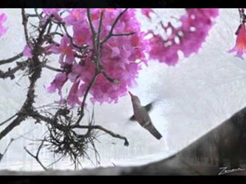 Arnaldo  Damián Selección de Guarania "Che Pykasumi"