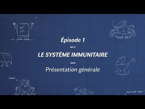 Le système immunitaire (SI) - Généralités 