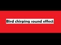 sound effect bird chirping 
