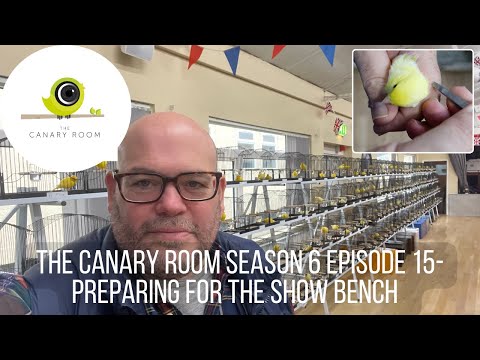 The Canary Room Season 6 Episode 15 - Preparing the show team