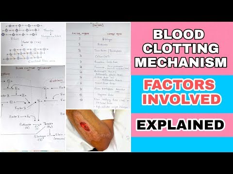 Typhoid fever Salmonella typhi Causes symptoms diagnosis treatment Bio science