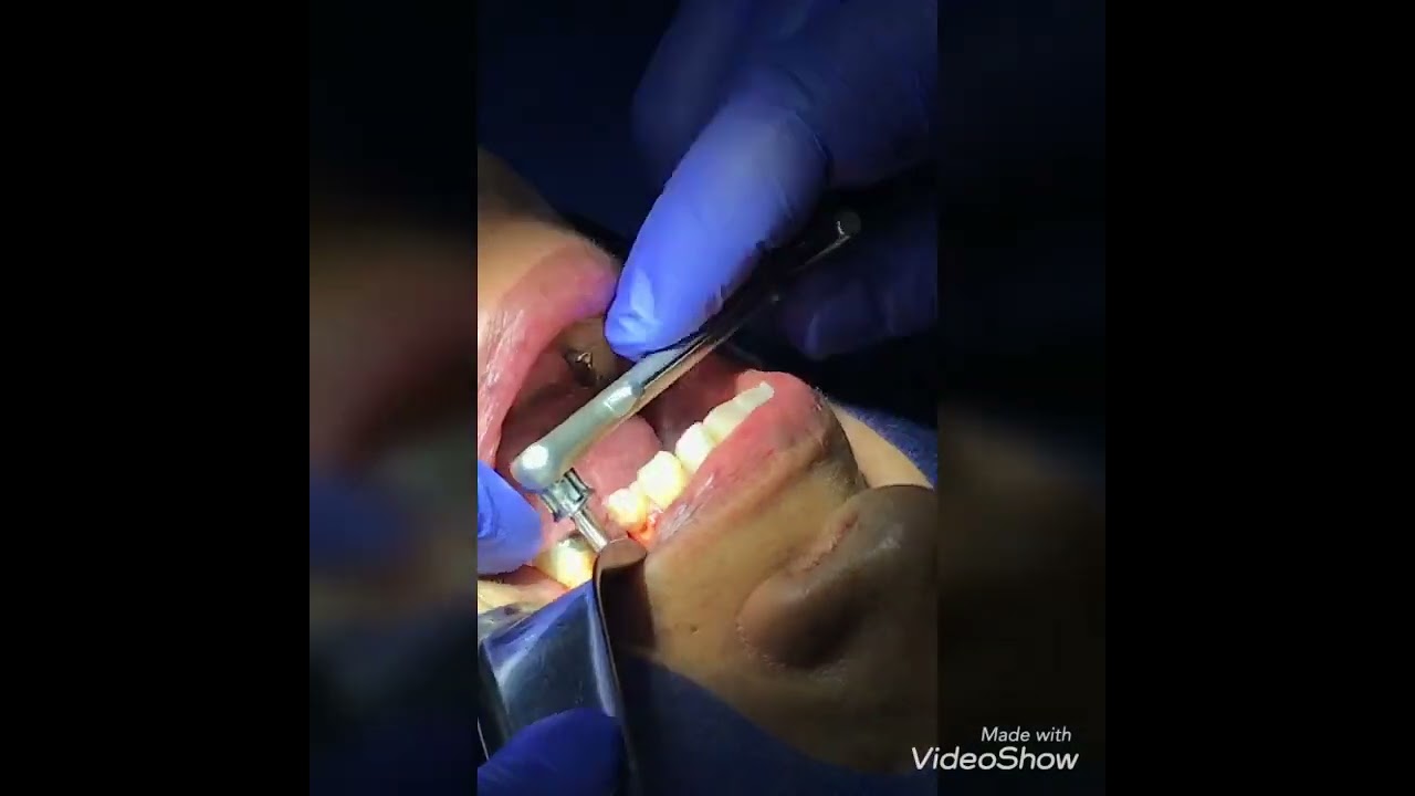 Jonathan Sandoval Robles-15