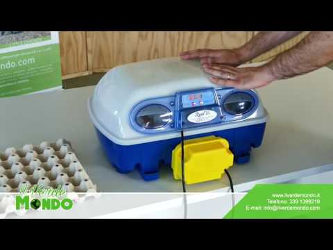 Controllo della Temperatura e dellUmidità Efficiente e Intelligente,per Gallina Anatra Quaglia Pedy Incubatrice Automatica con Display Digitale a LED e Sensore di Temperatura Preciso ecc Controllo della Temperatura e dellUmidità Efficiente e Intelligente,per Gallina Anatra Quaglia Pedy Incubatrice Automatica con Display Digitale a LED e Sensore di Temperatura Preciso ecc