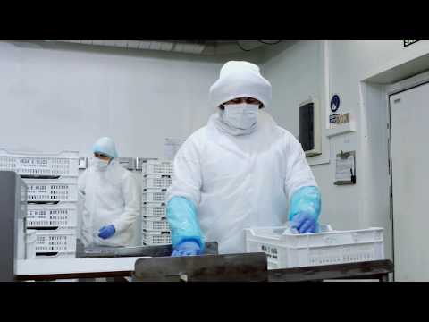 FABRICA VEGA E HIJOS