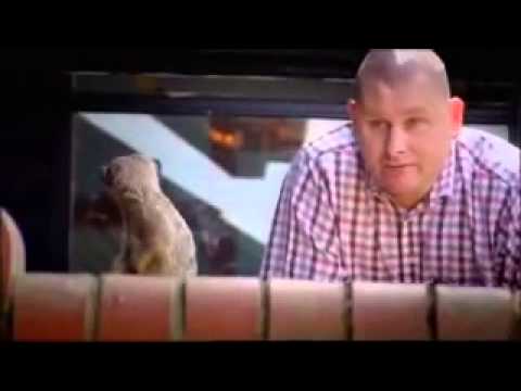 Paul Hunn "Theburperking" introduces himself to some animals.