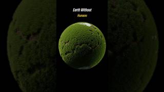 What If Earth Had No Humans? | A Planet Without Us 🌍#EarthWithoutHumans #LifeAfterHumans #space