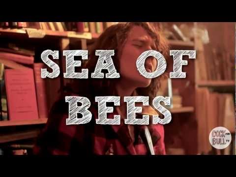 Sea Of Bees - Gnomes | Cock and Bull TV
