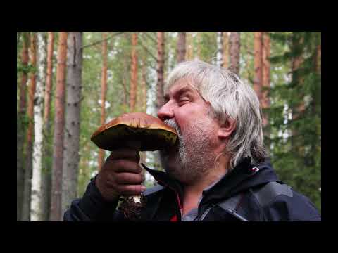 Finsko - Země tisíců jezer