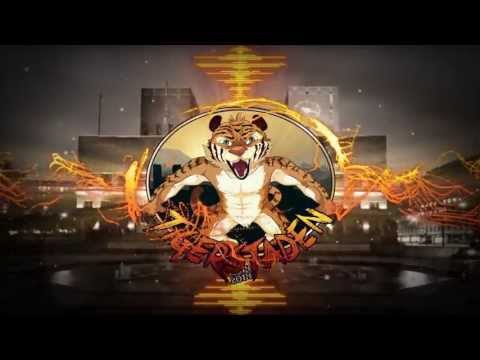 Tigerstaden 2014 - KillWattZ