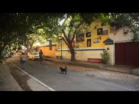 Natrajan Radjendirane I Have Seen It