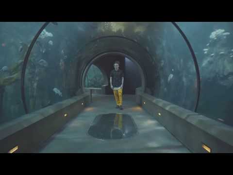 Astral OG - Sink or Swim (Official Music Video)