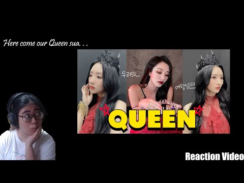 Shaf React to origins of queen sua 🐥👑 여왕님 수아 | Your honor queen Sua 👑