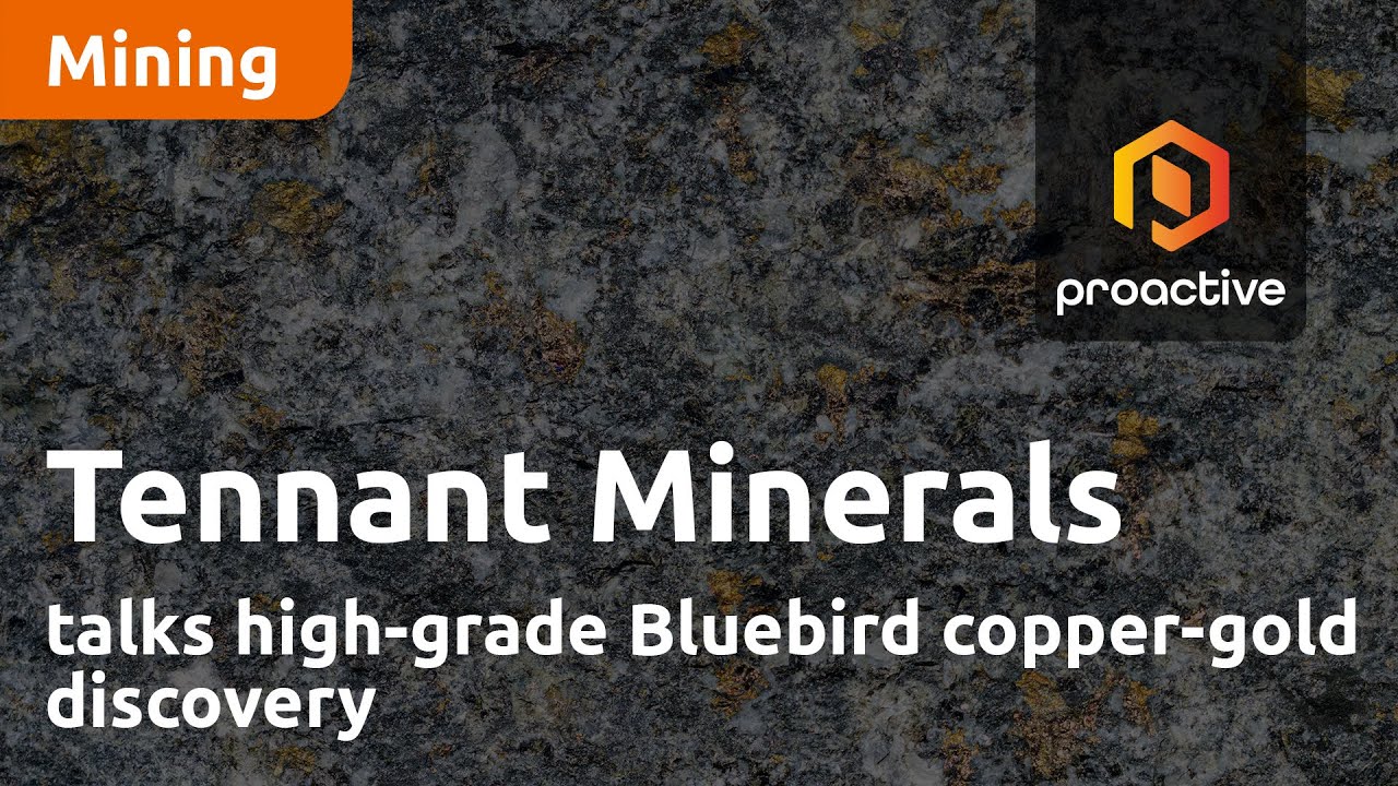 Tennant Minerals talks high-grade Bluebird copper-gold discovery