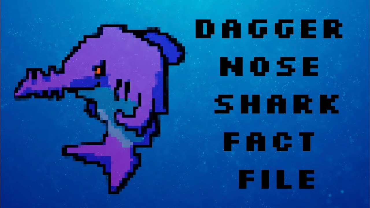 Daggernose shark fact file!