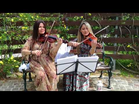 Legato Violins Slideshow