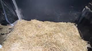 Camion fourgon < 3.5t Renault UME LIGHT-3 | Image 4 - Autoline