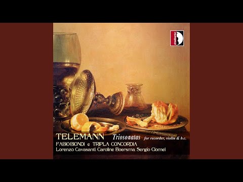 Bassoon Sonata, TWV 41:F1 (Arr. for Flute) : I. Adagio