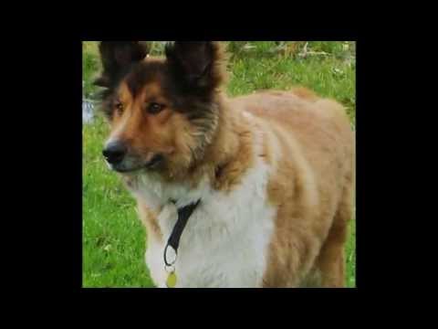 Lucky  ~ Makedonska Kafana (MK)