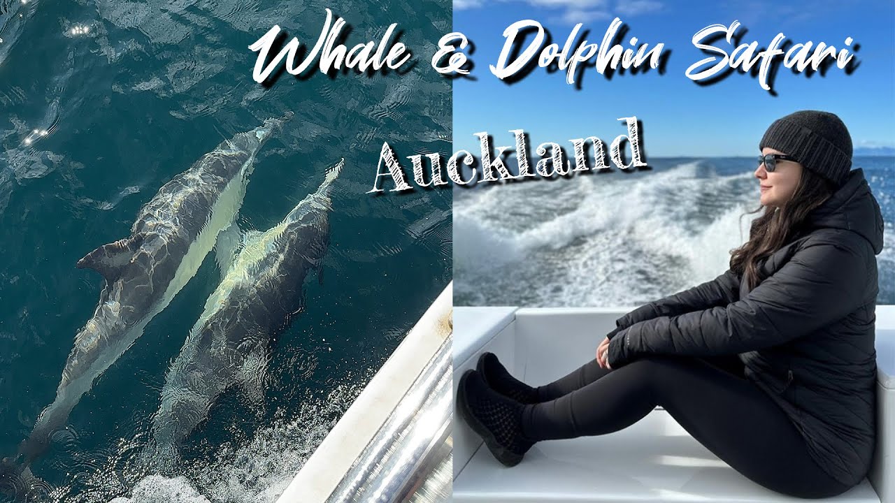 Experience a virtual tour of Whale & Dolphin Watching.